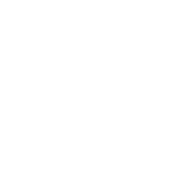 לוגו בית שלמה